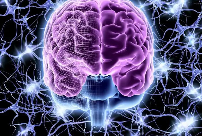 La EMT puede promover la neuroplasticidad, que es la capacidad del cerebro para reorganizarse y formar nuevas conexiones neuronales.
